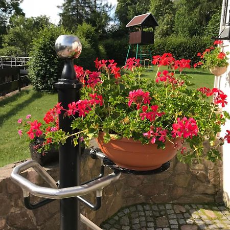 Ferienwohnung Grieser Geising Buitenkant foto