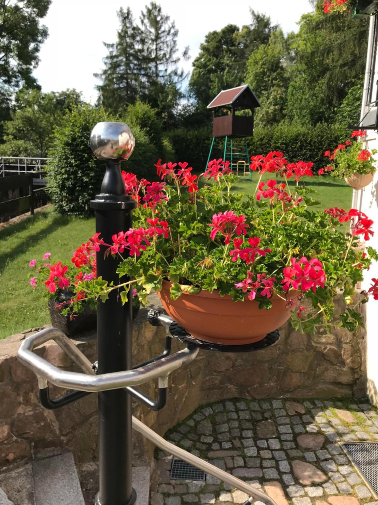 Ferienwohnung Grieser Geising Buitenkant foto