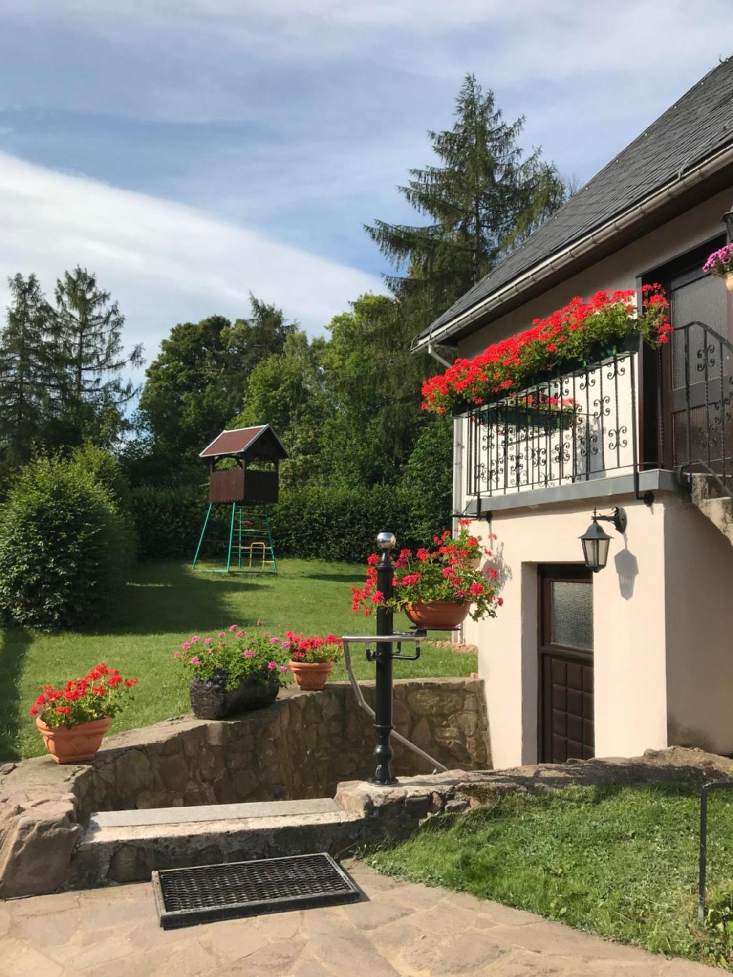 Ferienwohnung Grieser Geising Buitenkant foto
