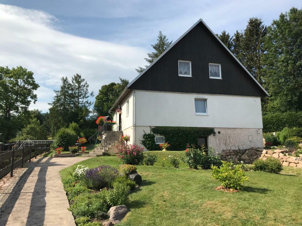 Ferienwohnung Grieser Geising Buitenkant foto