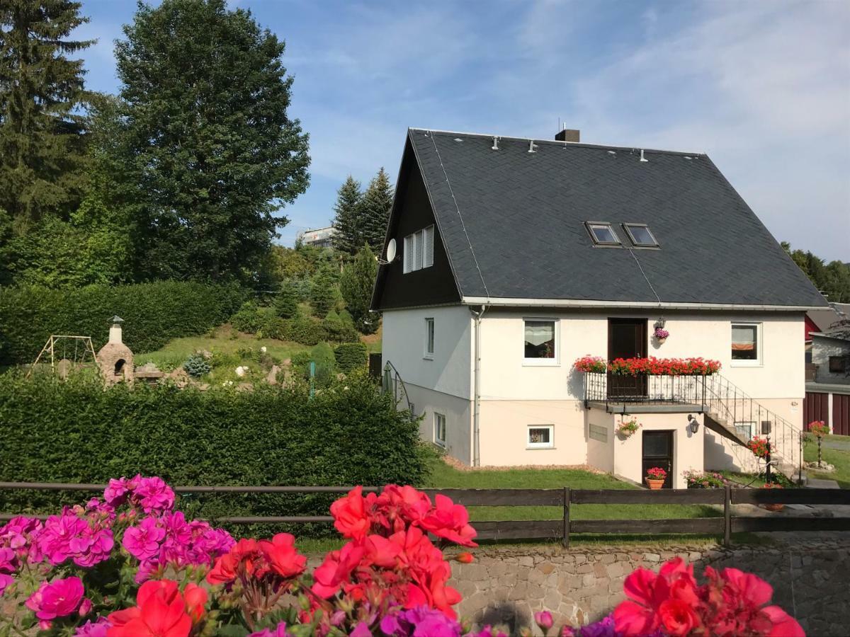 Ferienwohnung Grieser Geising Buitenkant foto